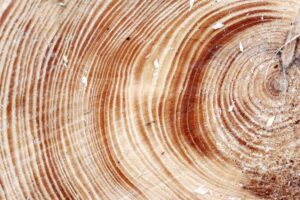 Is Office 365 up to handling all your eDiscovery needs?