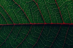 Using Cognitive Analytics to Expose Leading Indicators and Build Fact Patterns