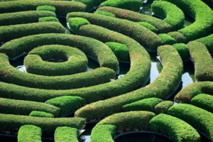 Data Estate - Green hedge maze symbolizing data estate organization for eDiscovery.