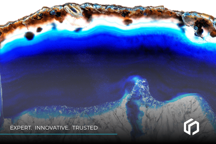 outsourced ediscovery